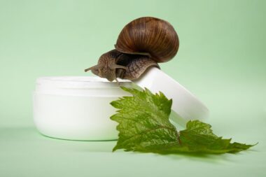 Snail Mucin